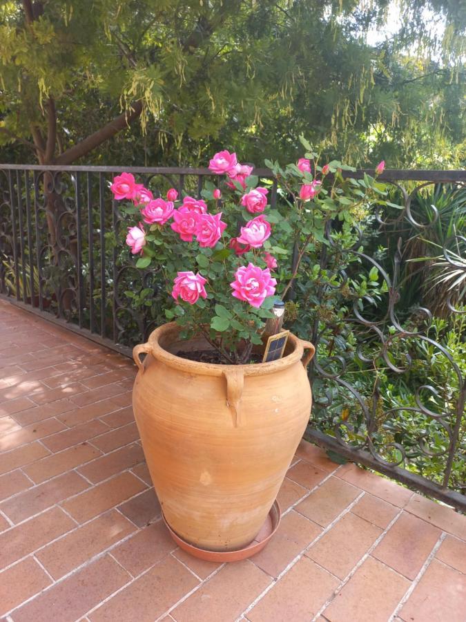 Chambre Dans Villa Charmant Jardin 蒙彼利埃 外观 照片